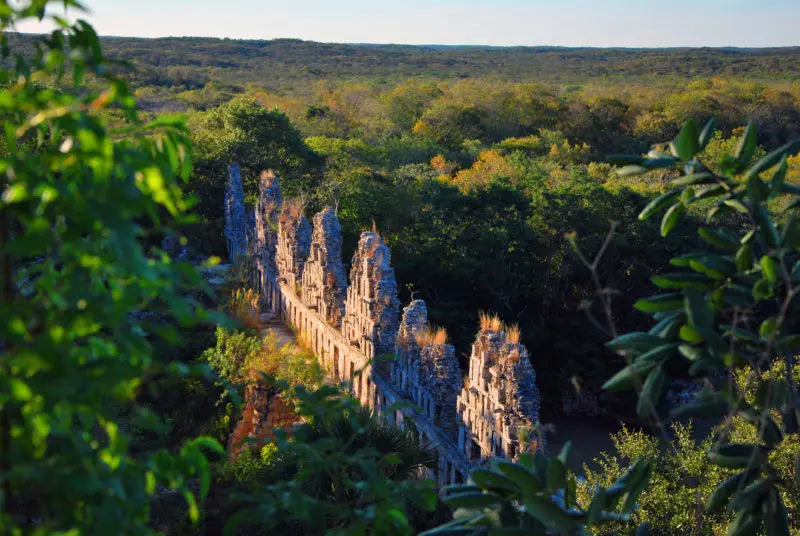 Ancient Maya architecture at Uxmal surrounded by Yucatán forest