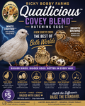Quailicious™ Covey Blend Hatching Eggs