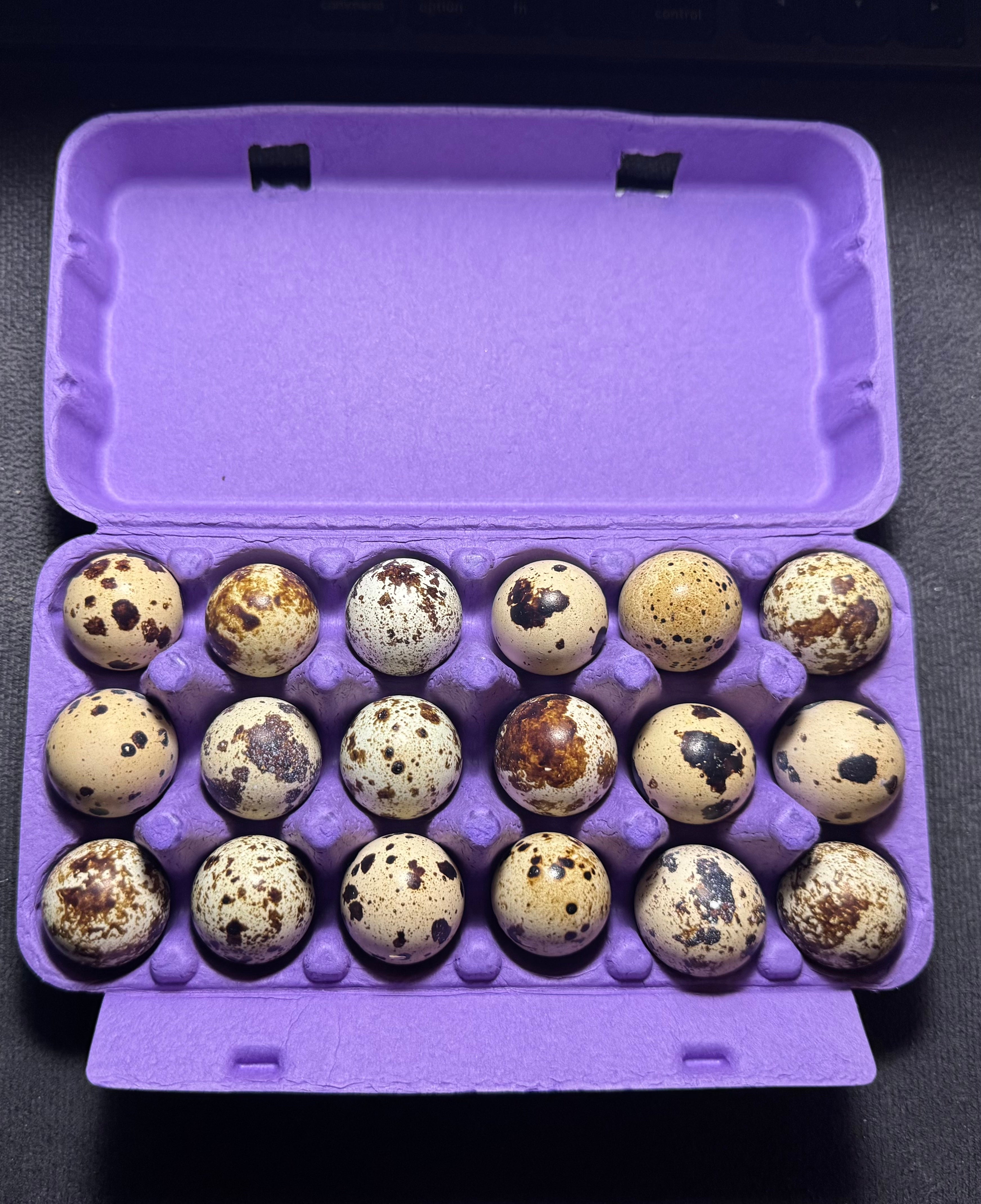 Cage-Free Quail Eggs (One Dozen)