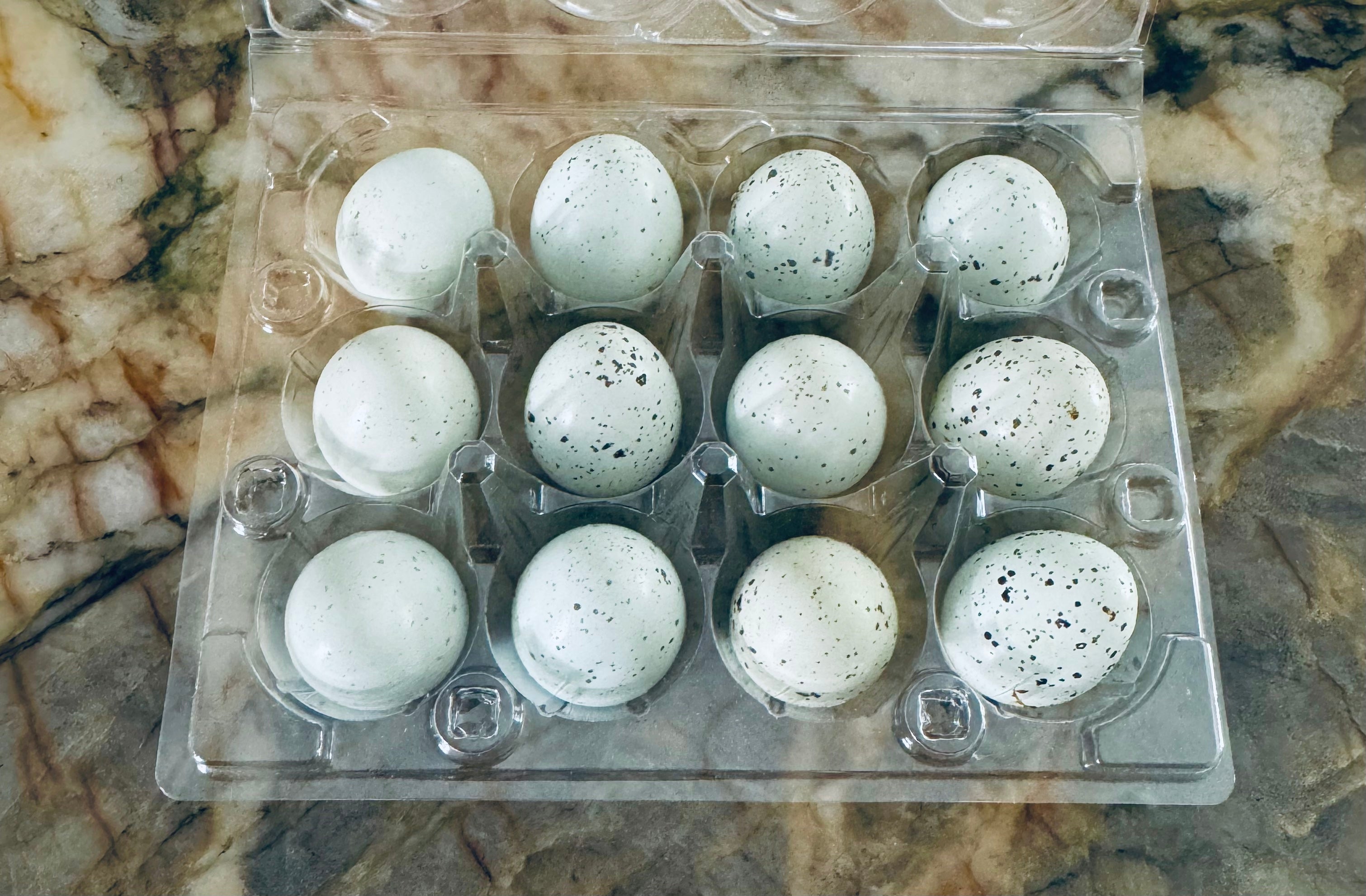 Fresh Quail Eggs Edible (1 Dozen)