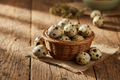 Cage-Free Quail Eggs (One Dozen)