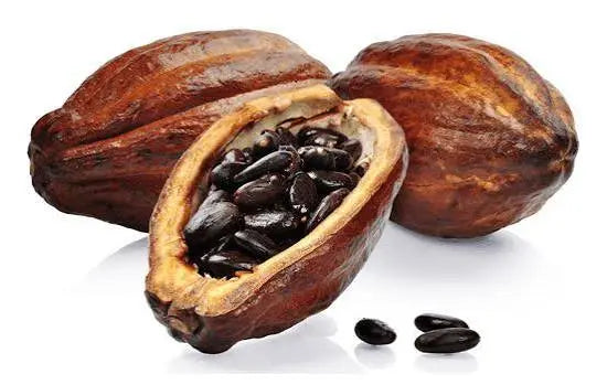 Opened cacao pod displaying dark cacao beans