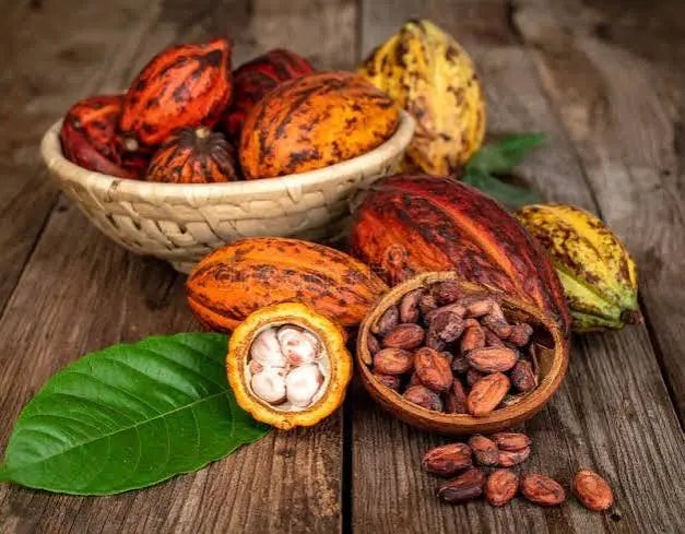 Colorful cacao pods, an opened fruit and dried cacao beans