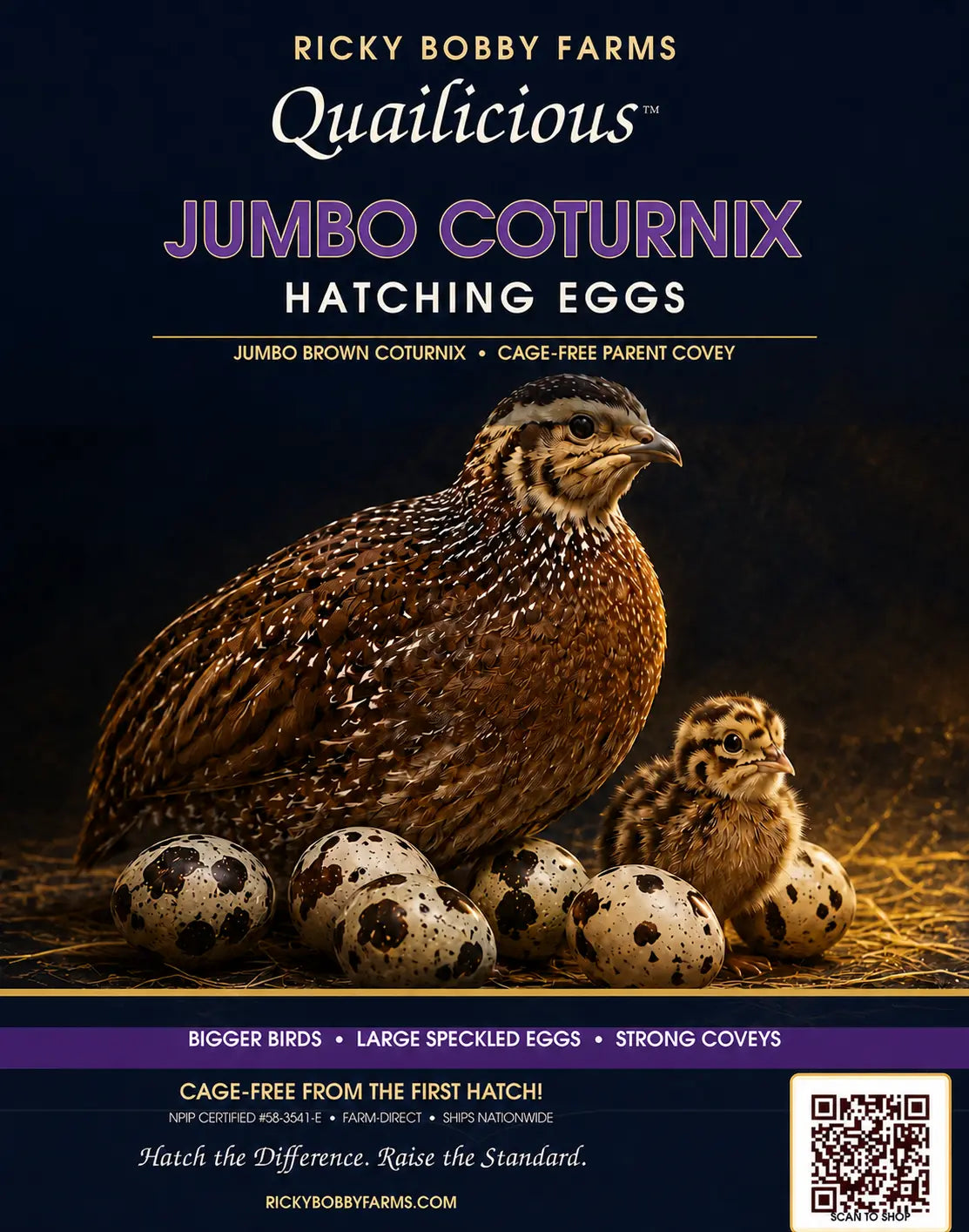 Ricky Bobby Farms Quailicious Jumbo Coturnix Hatching Eggs poster
